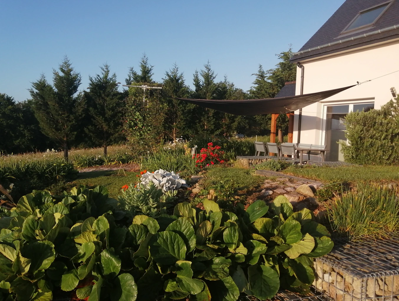 vue jardin